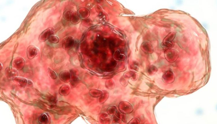 'Brain-eating amoeba' naegleria fowleri kills South Korea man. Check symptoms