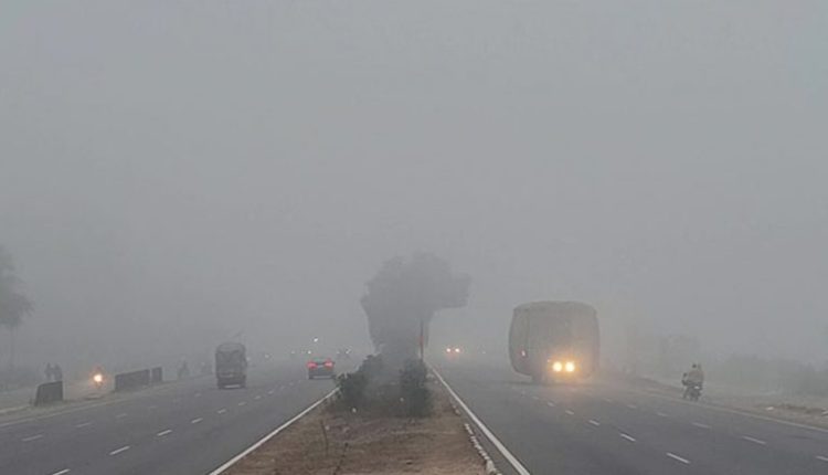 Dense Fog, Cold Wave Grip North and Northwest India As Temperatures Plummet in Several Towns and Cities