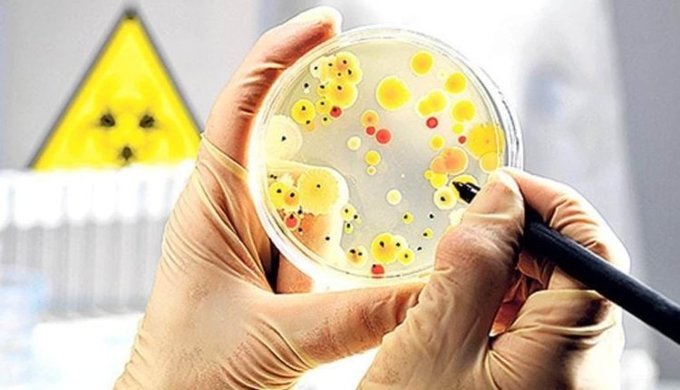 Microbes can assist humans build colonies on Moon & Mars, new study reveals