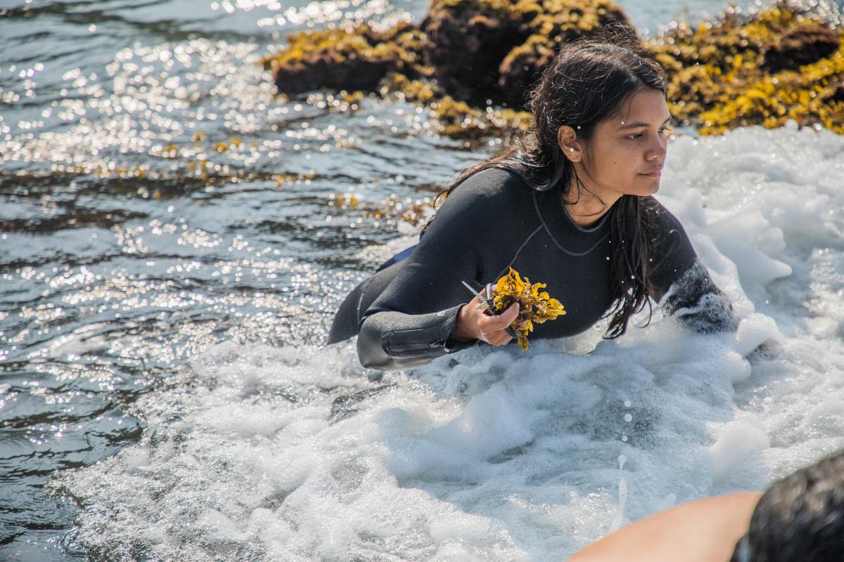 Gabriella D’Cruz, founder of Goa-based The Good Ocean that harvests, processes and supplies dried seaweed.