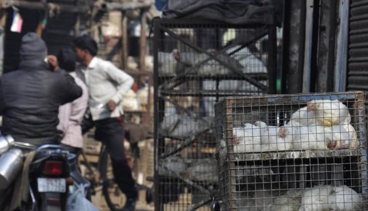 Aero India 2023: BBMP bans the sale of meat near air force station in Bengaluru | Bengaluru