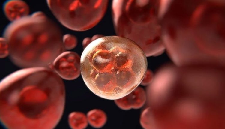 Indian Scientists Discover New Anti-Cancer Agent With Exceptional Results