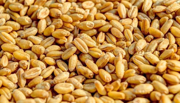 PMGKAY: Centre Names New Scheme for Distribution of Free Ration for One Year