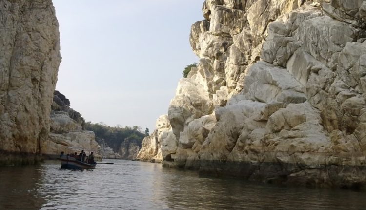 Rare dinosaur nests discovered in Narmada valley in MP: Report