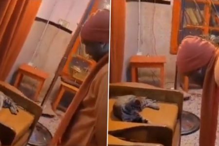 Uttar Pradesh CM Yogi Adityanath Seen Playing With Cat, Cute Video Goes Viral