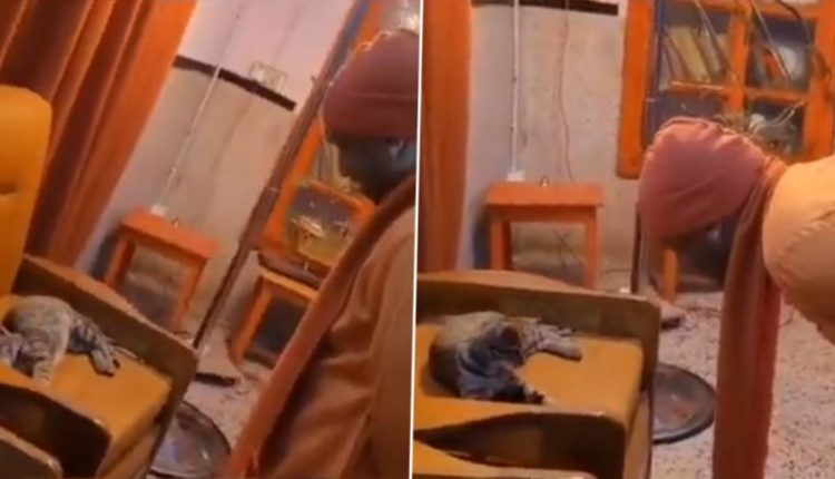 Uttar Pradesh CM Yogi Adityanath Seen Playing With Cat, Cute Video Goes Viral