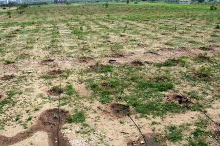 No ‘Bhoodan land’ available for distribution in 13 districts of Bihar: Report