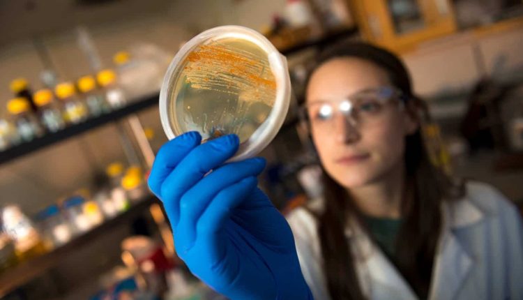 Breakthrough on ‘sense of smell’; scientists create 3D picture of odour molecule