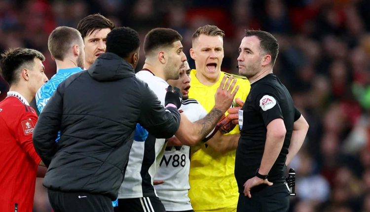 Fulham's coach Silva and striker Mitrovic charged after Man United tie | Football News