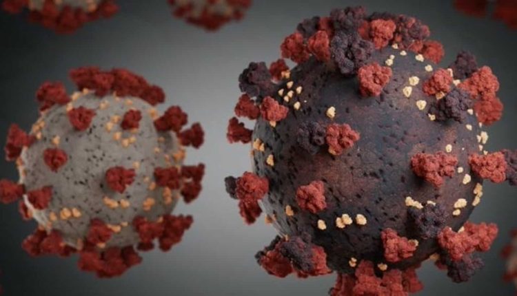 Covid infection can alter our gene structure: What a study shows | World News