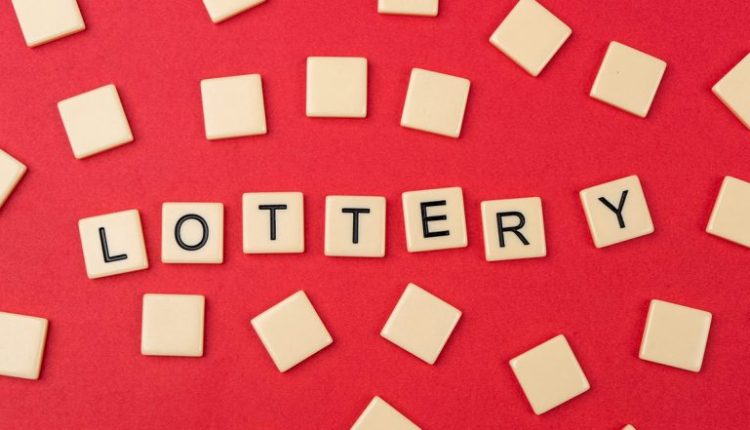 Nagaland State Lottery Result Today 6 PM Live, Dear Wave Tuesday Lottery Sambad Result of 11.04.2023, Watch Live Lucky Draw Winners List