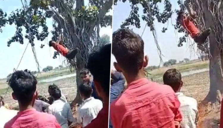 UP Horror: Village Head Hangs Suspected Thief From Tree, Sets Fire Below in Firozabad District (Disturbing Video)