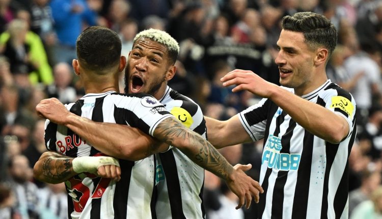 Clinical Newcastle crush Brighton as top-four finish looms | Football News