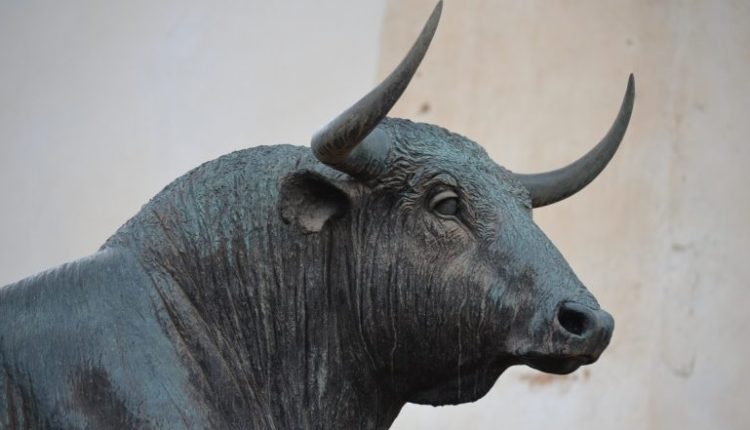 Bull Attack in Uttar Pradesh: Indian Army Soldier Gored to Death, Wife and Two Kids Critically Injured After Stray Bull Hits Their Bike in Amroha