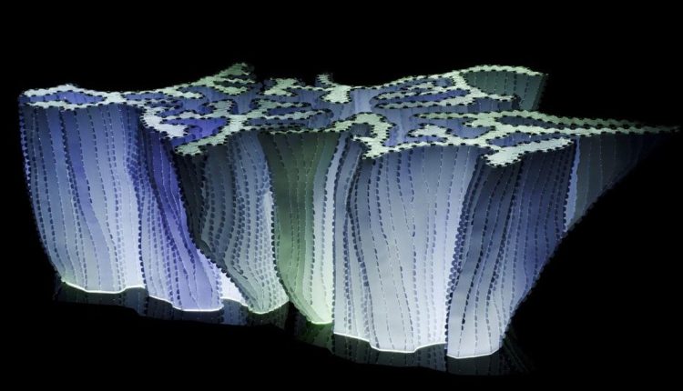 Caring for coral reefs through art