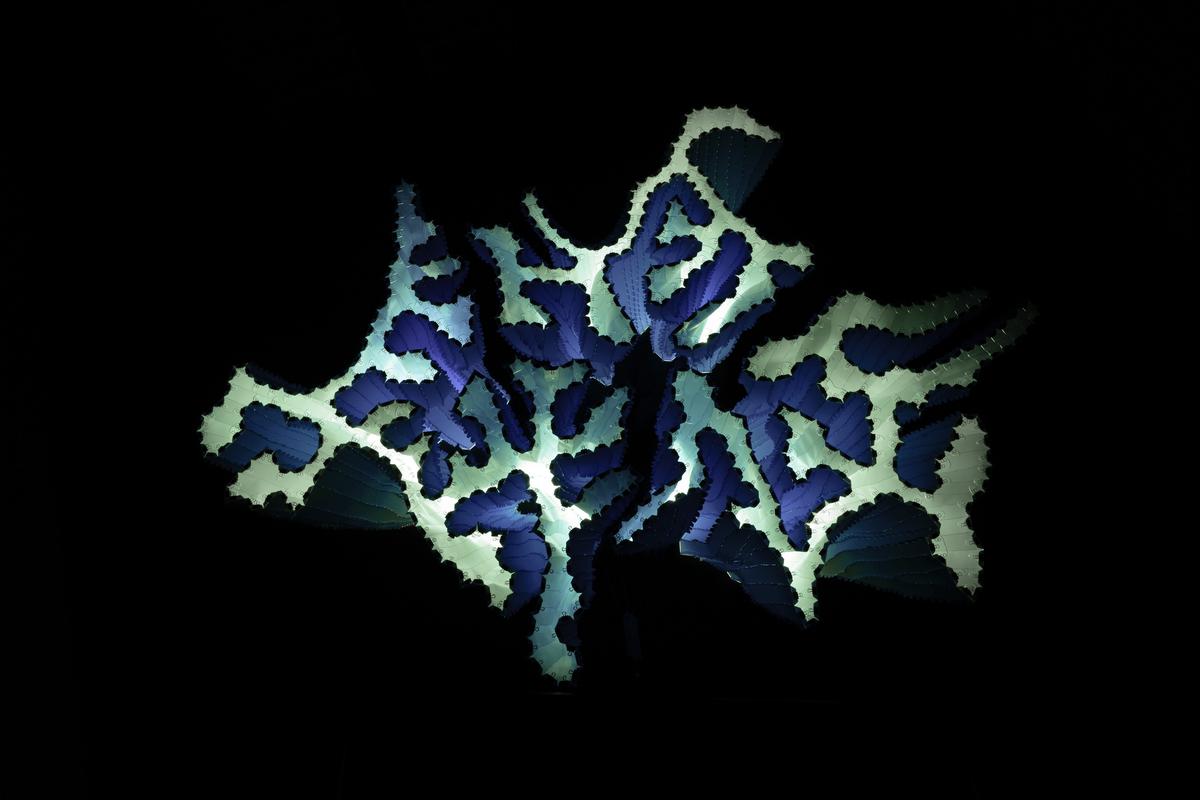 The view of the structures from the top.