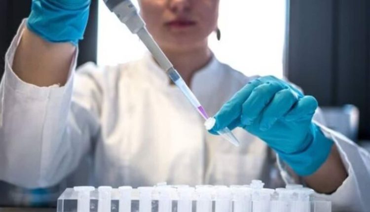 Baby without sperm or egg? Scientists develop synthetic embryos using stem cells