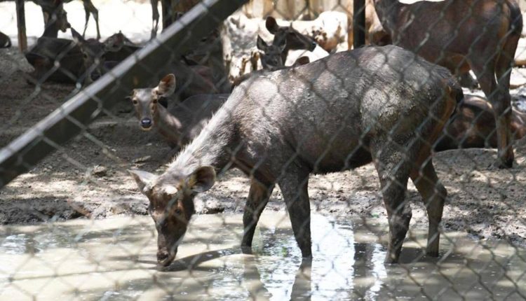 12 dead in Bihar heat wave