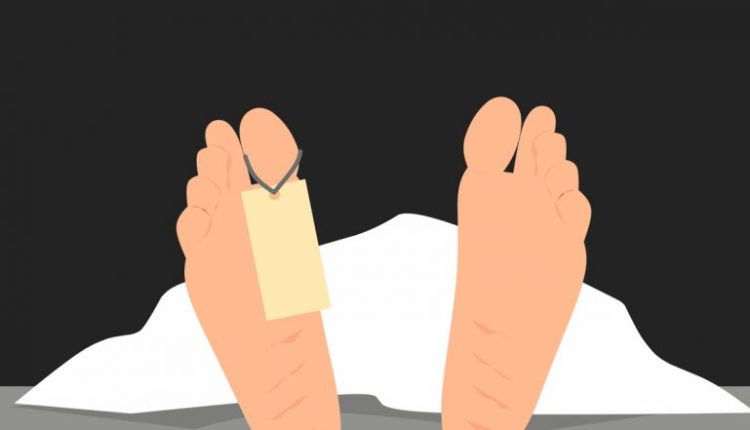 Jammu and Kashmir: Woman From Uttar Pradesh Among Two Found Dead in Kulgam