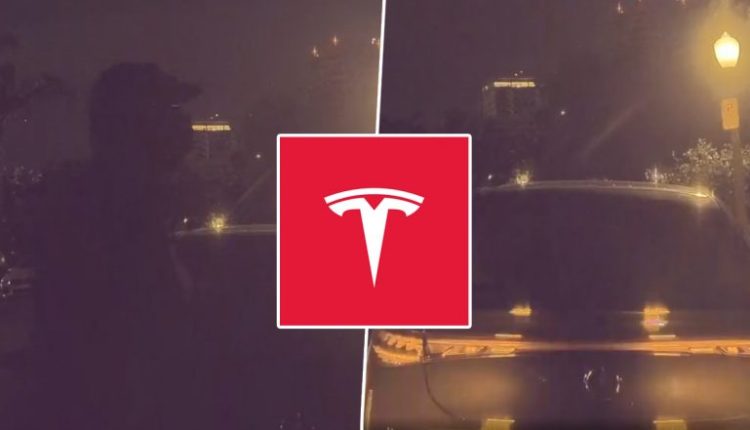 Tesla Sentry Mode on Model Y Car Foils Tyre Theft, Scares Off Thief (Watch Video)