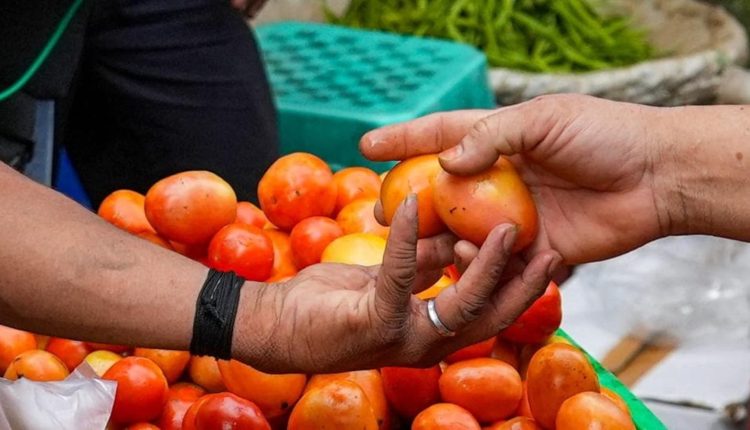 Tomatoes worth Rs. 2.5L stolen in Karnataka's Halebeedu, farmer files a case | Bengaluru