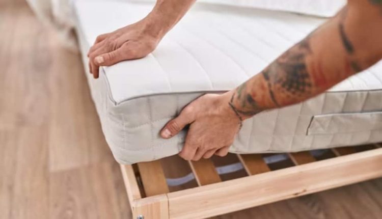 Planning To Buy A New Bed? Check THIS Before Dumping Your Old Mattress | Science & Environment News