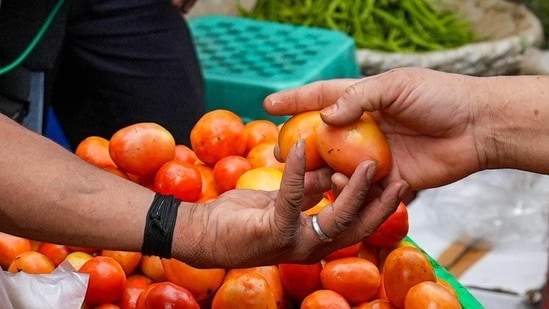 Tomatoes worth Rs. 2.5L stolen in Karnataka's Halebeedu, 9Pic for representation)
