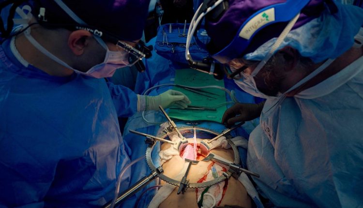 Pig kidney transplanted into human shows way to wider use