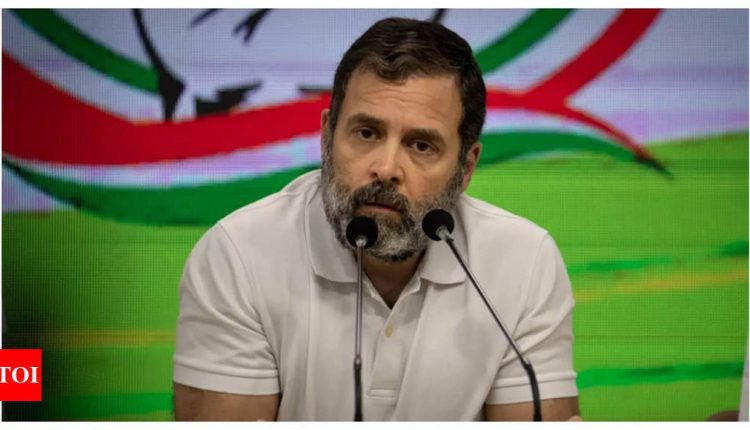 Modi surname defamation case: Why Supreme Court stayed Rahul Gandhi's conviction | India News