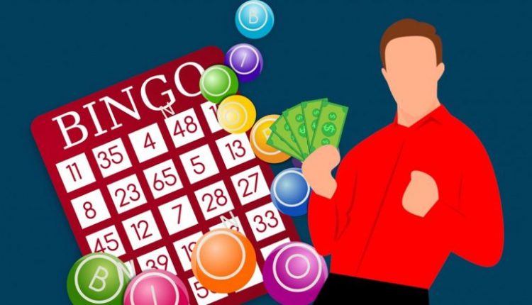 Nagaland State Lottery Result Today 8 PM Live, Dear Finch Monday Lottery Sambad Result of 11.09.2023, Watch Live Lucky Draw Winners List