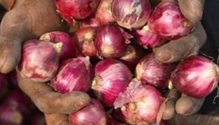 Centre exempts 'Bangalore rose onion' from export duty | Bengaluru