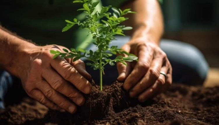 What Is Permaculture? How It Can Enhance Both Environment And Enable Healthier Lifestyle | Science & Environment News