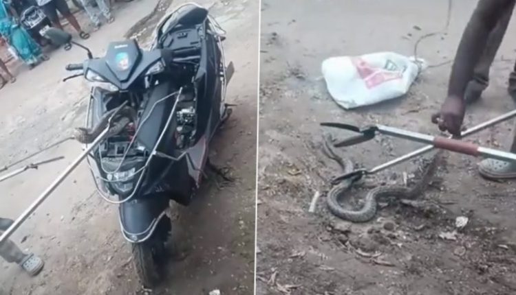 Chennai: Fire Department Rescues 7-Foot Snake Found Coiled in Scooter (Watch Video)