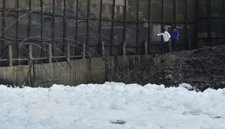 Bengaluru lake buffer zone encroachment: NGT seeks response from KSPCB, others | Bengaluru