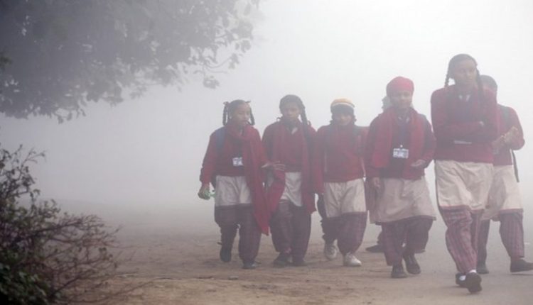 India Weather Forecast and Update: Dense Fog Blankets Northern India with No Respite from Cold Wave, Visibility Drops to Zero