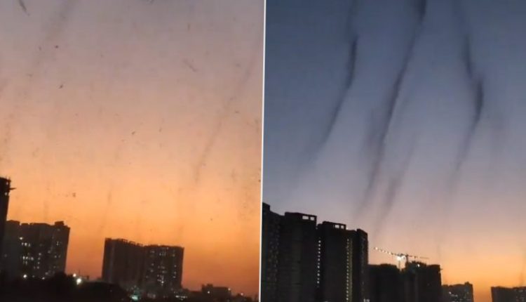 Mosquito Tornado in Pune Video: Mosquito Menace Grips Keshav Nagar, Viral Clip Sparks Outrage