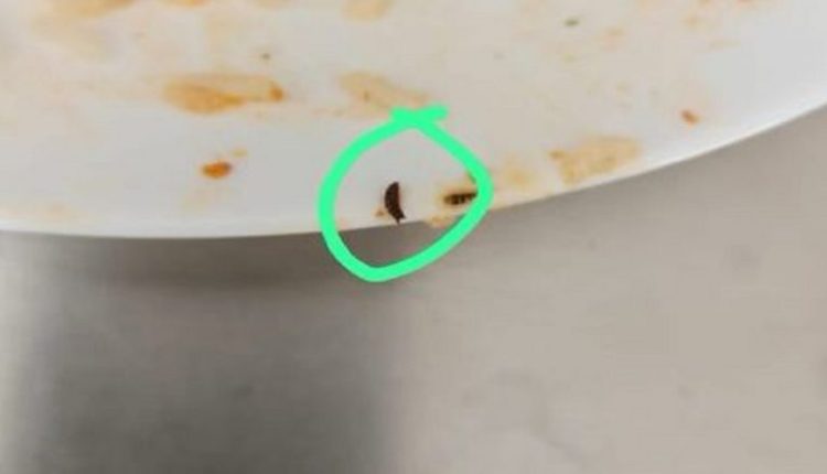 Telangana: Girl Students Stage Protest After Insects Found in Hostel Food at Malla Reddy University in Hyderabad; Pictures and Videos Surface