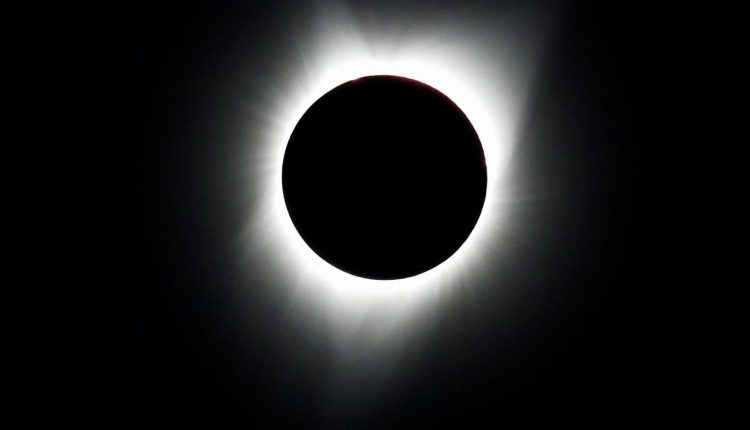 How do animals react during a total solar eclipse? Scientists plan to find out