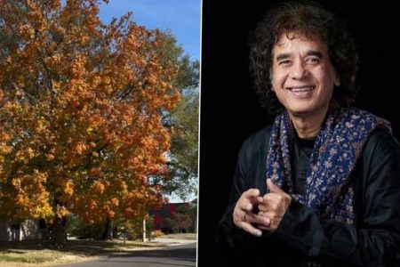 Zakir Hussain Dies at 73: Tabla Maestro’s Last Instagram Post on ‘Wonder Moment’ Goes Viral