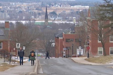 More than a third of Maritime university students report disabilities