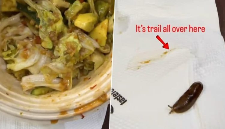 Live Snail Found in Hyderabad Woman’s Avocado Quinoa Salad Order From Shoyu Restaurant, Video Goes Viral