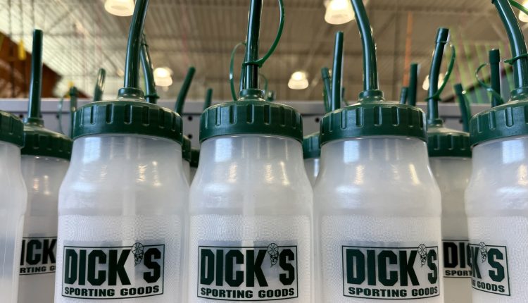 Dick's Sporting Goods (DKS) earnings Q4 2024