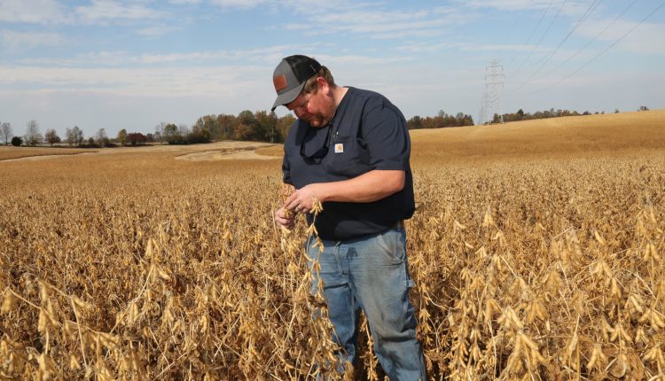 How Trump's trade policy is putting pressure on U.S. farmers