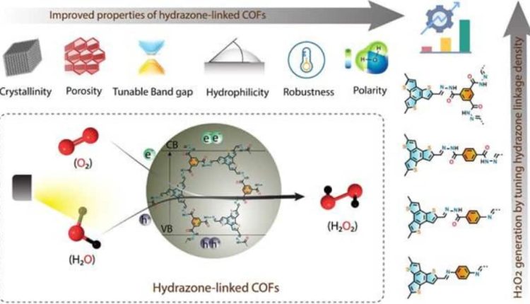 Indian Scientists Develop Eco-Friendly Method For Hydrogen Peroxide Production With Sunlight | Science & Environment News