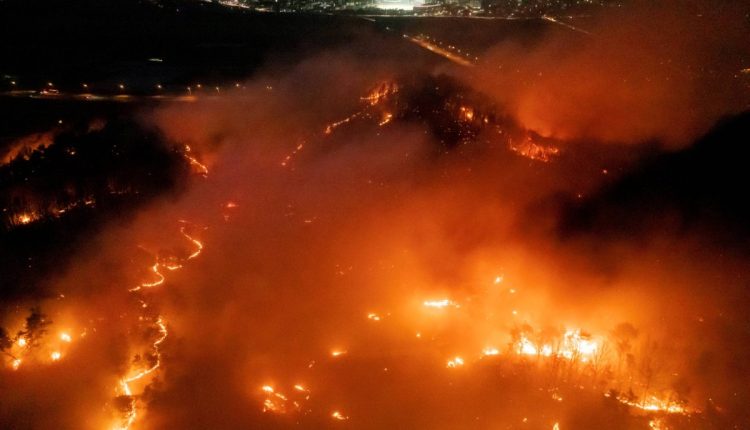 Recent spate of wildfires in Japan and South Korea linked to climate change