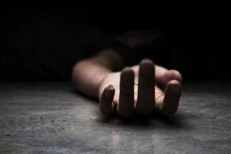 Woman, Teen Son And Niece Drown In Bhatasa River While Trying To Save Each Other