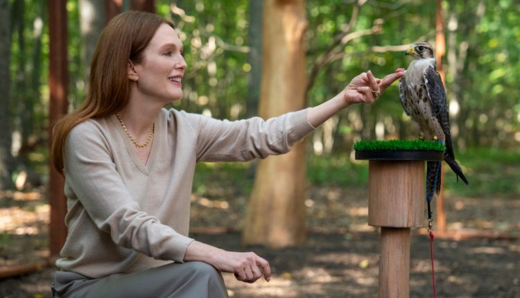 Sirens review: Julianne Moore leads a possible wellness cult in campy new Netflix show | Web Series