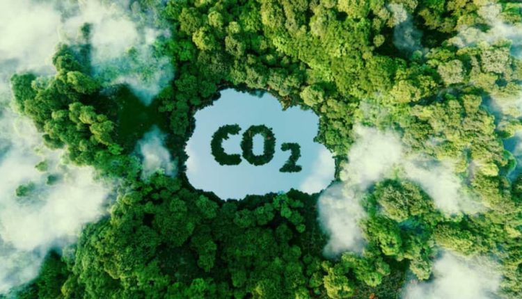 Indian Scientist Transforms Carbon Dioxide Into Clean Fuel Using Sunlight In Major Renewable Energy Breakthrough | Science & Environment News