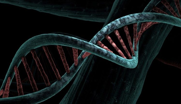 ‘Mirror life’: This synthetic form could end humanity, scientists warn