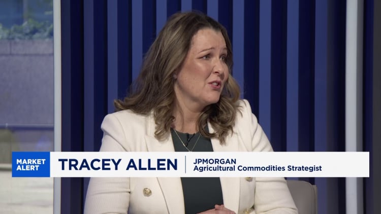 JP Morgan: Deficiency in cocoa supply means prices will stay higher for longer